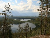 FI, Oulu, Kuusamo, Valtavaara NP 1, Saxifraga-Dirk Hilbers